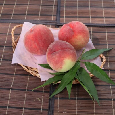 【ふるさと納税】先行受付 山梨県笛吹市産 桃 約2kg(5~8玉)