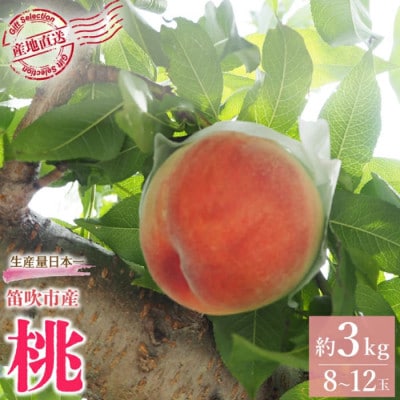 【ふるさと納税】先行受付 厳選!桃 約3kg(8～12玉) 山梨県笛吹市産