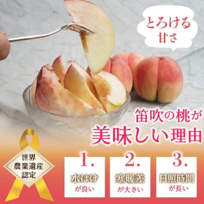 【ふるさと納税】先行受付 厳選!桃 約3kg(8～12玉) 山梨県笛吹市産
