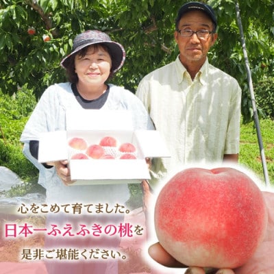 【ふるさと納税】先行受付 厳選!桃 約3kg(8～12玉) 山梨県笛吹市産