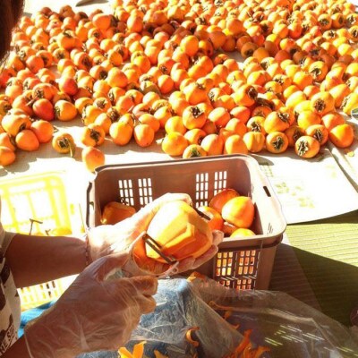 厳選!山梨県笛吹市産 ころ柿 枯露柿 中 2号箱 約1kg