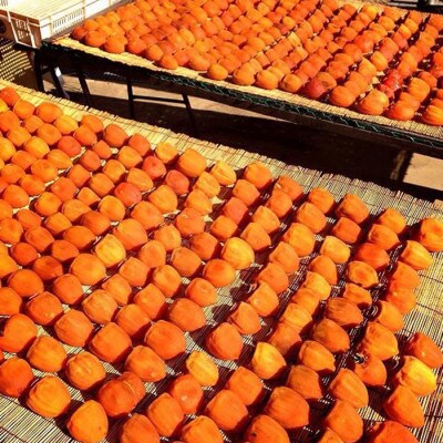 厳選!山梨県笛吹市産 ころ柿 枯露柿 中 2号箱 約1kg