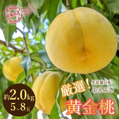 【2026年発送★先行予約】厳選!山梨県笛吹市産 黄金桃 約2kg(5〜8玉)