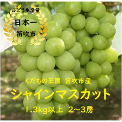 山梨県笛吹市 シャインマスカット 1.3kg以上 2房～3房 farmそらいろより直送 クール便配送
