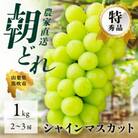 先行受付2023年 シャインマスカット 2～3房 約1kg 山梨県笛吹市