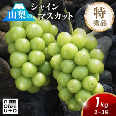 2025年発送 山梨県 シャインマスカット 1kg以上(2房～3房)