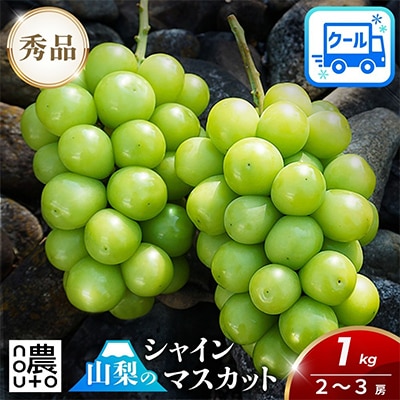 先行受付 2026年発送 山梨県 シャインマスカット 1kg以上(2房～3房)