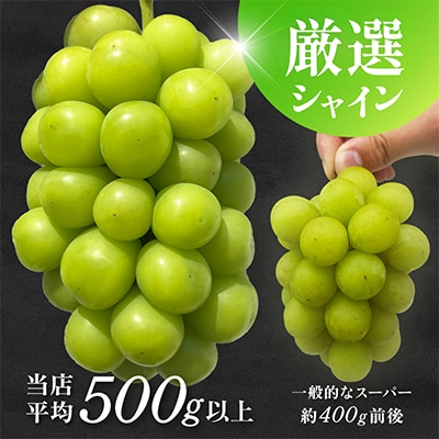 先行受付 2026年発送 山梨県 シャインマスカット 1kg以上(2房～3房)