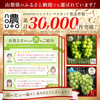 先行受付 2026年発送 山梨県 シャインマスカット 1kg以上(2房～3房)