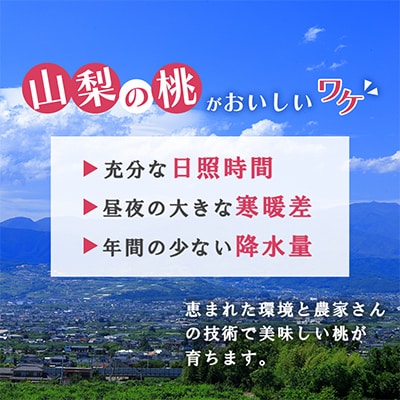 2026年先行受付 日本一の生産量 山梨県 笛吹市産 桃 2kg以上(5玉~8玉) フルーツ　