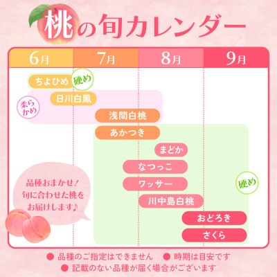 2026年先行受付 日本一の生産量 山梨県 笛吹市産 桃 2kg以上(5玉~8玉) フルーツ　