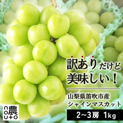 2025年発送 日本一の生産量 訳あり シャインマスカット1kg 2房～3房 山梨県 笛吹