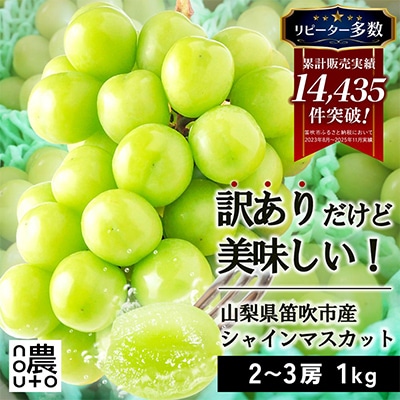 先行受付 2026年発送 日本一の生産量 訳あり シャインマスカット1kg 2房～3房 山梨県 笛吹