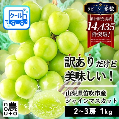 先行受付 2026年発送 日本一の生産量 訳あり シャインマスカット1kg 2房～3房 山梨県 笛吹