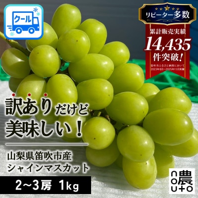 先行受付 2026年発送 日本一の生産量 訳あり シャインマスカット1kg 2房～3房 山梨県 笛吹