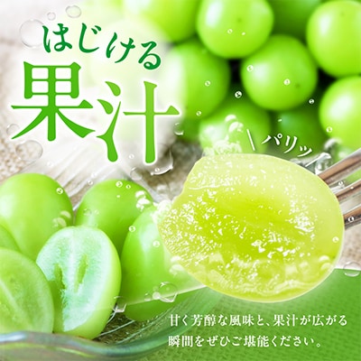 先行受付 2026年発送 日本一の生産量 訳あり シャインマスカット1kg 2房～3房 山梨県 笛吹