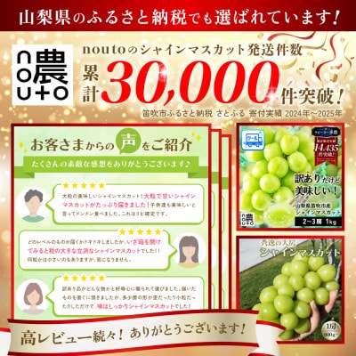 先行受付 2026年発送 日本一の生産量 訳あり シャインマスカット1kg 2房～3房 山梨県 笛吹