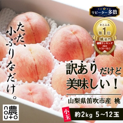 先行受付2026年 山梨県産 訳あり 桃(もも) 2kg以上(5玉~12玉) フルーツ