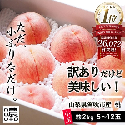 先行受付2026年 山梨県産 訳あり 桃(もも) 2kg以上(5玉~12玉) フルーツ
