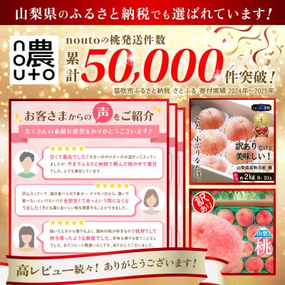 先行受付2026年 山梨県産 訳あり 桃(もも) 2kg以上(5玉~12玉) フルーツ