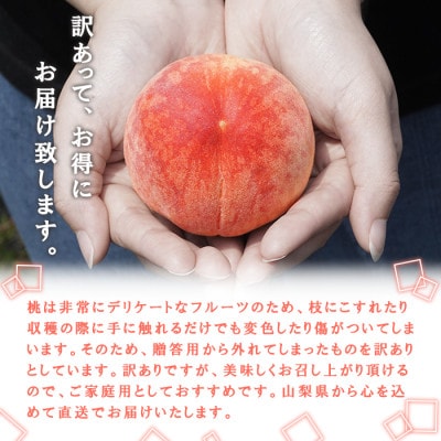 先行受付2026年 山梨県産 訳あり 桃(もも) 2kg以上(6玉~12玉) フルーツ