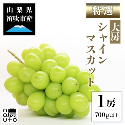 先行受付 2025年発送 シャインマスカット 1房 約700～800g 山梨県笛吹市