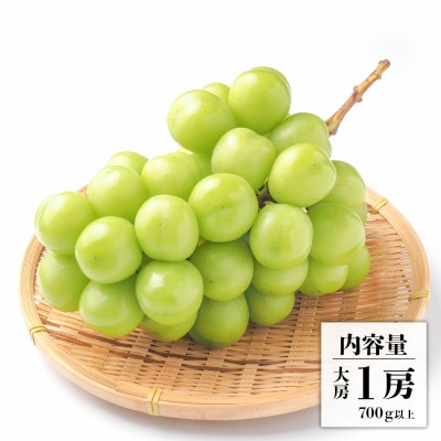 先行受付 2025年発送 シャインマスカット 1房 約700～800g 山梨県笛吹市