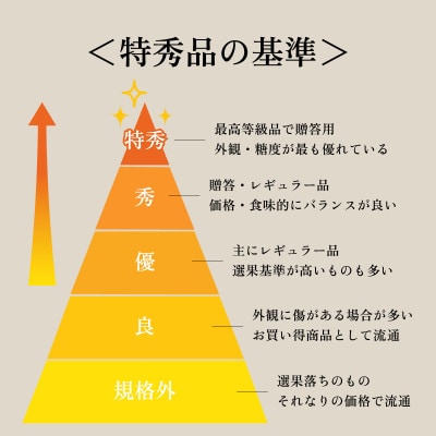 先行受付 2025年発送 シャインマスカット 1房 約700～800g 山梨県笛吹市