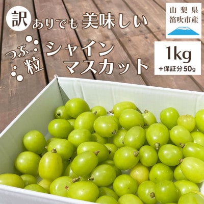 山梨県笛吹市産　訳あり　粒1kg以上(+保証分50g)　シャインマスカット(種なしぶどう)フルーツ