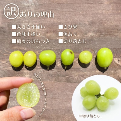 山梨県笛吹市産　訳あり　粒1kg以上(+保証分50g)　シャインマスカット(種なしぶどう)フルーツ