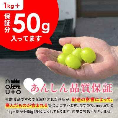 山梨県笛吹市産　訳あり　粒1kg以上(+保証分50g)　シャインマスカット(種なしぶどう)フルーツ