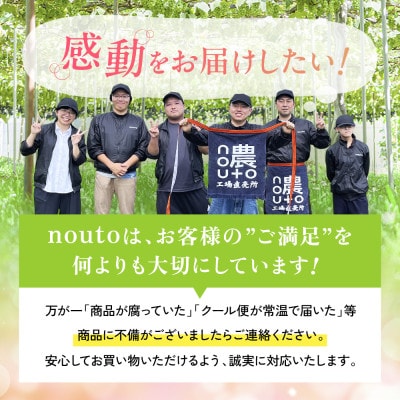 山梨県笛吹市産　訳あり　粒1kg以上(+保証分50g)　シャインマスカット(種なしぶどう)フルーツ