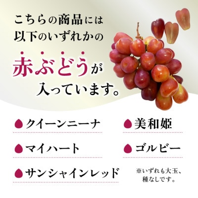 先行受付2025年 大人気 シャインマスカット×赤系ぶどう 1kg～1.2kg
