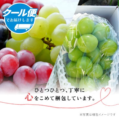 先行受付2025年 大人気 シャインマスカット×赤系ぶどう 1kg～1.2kg
