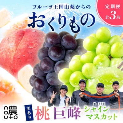 【発送月固定定期便】訳あり 山梨 人気の果物 桃・巨峰・シャインマスカット全3回