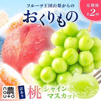 【発送月固定定期便】訳ありフルーツ定期便 桃1kg×シャインマスカット約400g(1～2房)全2回