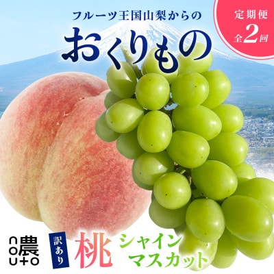 【発送月固定定期便】訳ありフルーツ定期便 桃1kg×シャインマスカット約400g(1～2房)全2回
