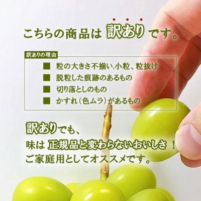 【発送月固定定期便】訳ありフルーツ定期便 桃1kg×シャインマスカット約400g(1～2房)全2回