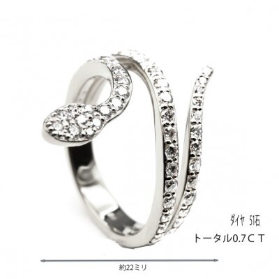 PT900　スネークラインダイヤリング　0.7CT R3948DI-P #10