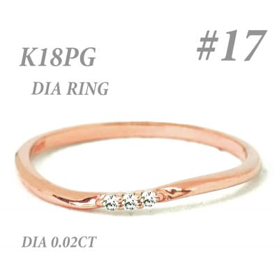 K18PGダイヤモンド リング 0.02CT RADR-6525DI-R #17