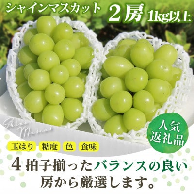 【2025年発送】山梨県 笛吹市 シャインマスカット 2房(1kg以上)  山梨の人気果物