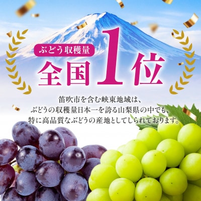【2025年発送】山梨県 笛吹市 シャインマスカット 2房(1kg以上)  山梨の人気果物