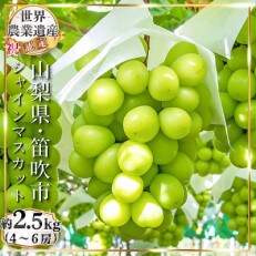 【2023年発送】山梨県笛吹市　シャインマスカット約2.5kg(4～6房) | ふるさと納税のお礼品