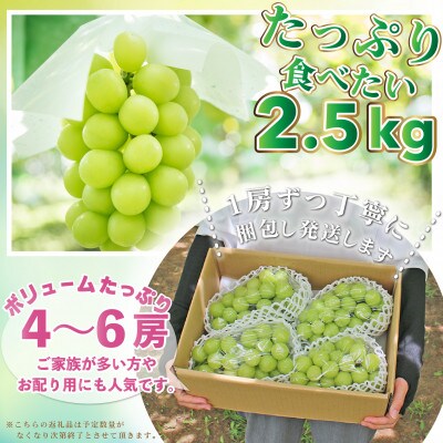 【2025年 発送】山梨県 笛吹市 シャインマスカット 2.5kg以上(4～6房) 山梨の人気果物