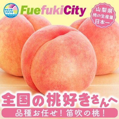 2026年発送 旬の桃 2kg以上(5～8玉) 人気フルーツ 果物 山梨県産 白鳳系 白桃系 もも