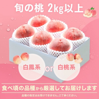 2026年発送 旬の桃 2kg以上(5～8玉) 人気フルーツ 果物 山梨県産 白鳳系 白桃系 もも