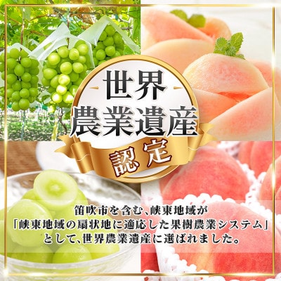 【2025年 発送】山梨県 笛吹市 旬の桃 2kg以上(5～8玉) 山梨の人気果物 品種お任せ