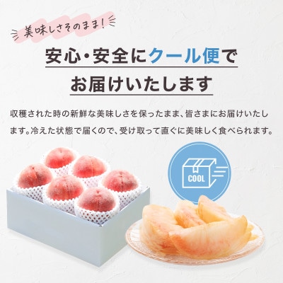 2026年発送 旬の桃 2kg以上(5～8玉) 人気フルーツ 果物 山梨県産 白鳳系 白桃系 もも