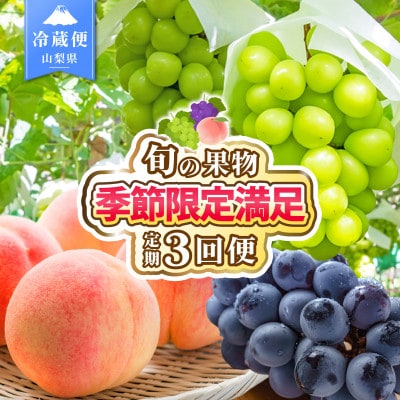【発送月固定定期便】2026年発送 桃 黒ぶどう シャインマスカット全3回