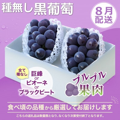 【発送月固定定期便】2026年発送 桃 黒ぶどう シャインマスカット全3回
